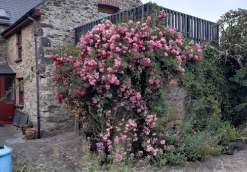 Pembrokeshire B&B Suite