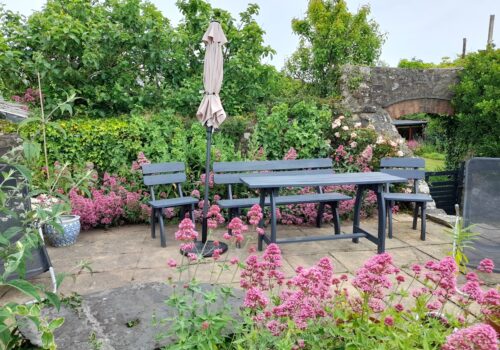 dogs welcome holiday cottage