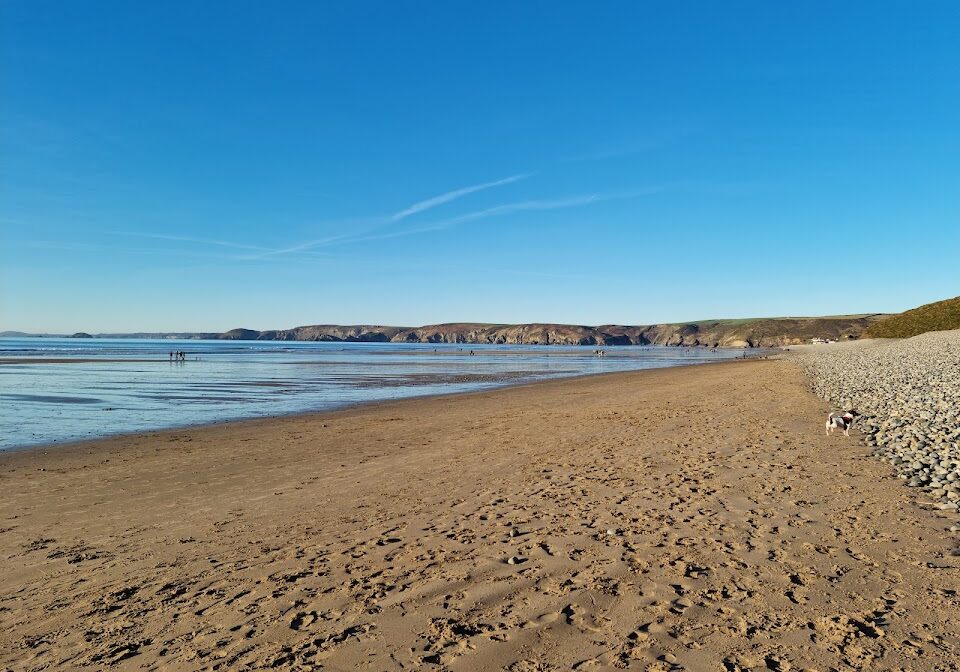 Newgale (7)